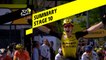 Summary - Stage 10 - Tour de France 2019