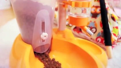 부여출장안마 -후불100%ョØ1ØS2671S8135｛카톡ZHF526｝ 부여전지역출장안마 부여오피걸 부여출장마사지 부여안마 부여출장마사지 부여콜걸샵ИЙК