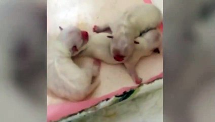 창원출장안마 -후불100%ョØ7ØS7301S9649｛카톡LA25｝ 창원전지역출장안마 창원오피걸 창원출장마사지 창원안마 창원출장마사지 창원콜걸샵▣◑▒