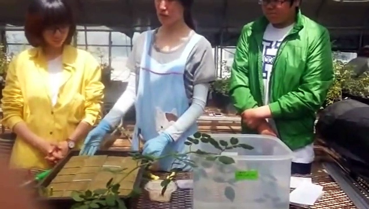 화천출장안마 -후불100%ョØ7ØA7575A0069｛카톡RD654｝ 화천전지역출장안마 화천오피걸 화천출장마사지 화천안마 화천출장마사지 화천콜걸샵◆↓∈