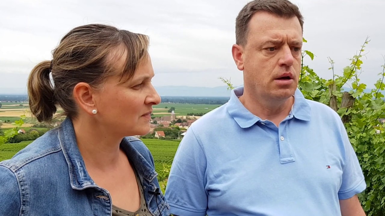 Grands crus d'Alsace : le Spiegel