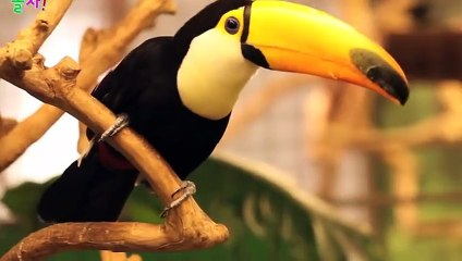 남양주출장안마 -후불100%ョØ1ØE2659E1768｛카톡KP93｝ 남양주전지역출장안마 남양주오피걸 남양주출장마사지 남양주안마 남양주출장마사지 남양주콜걸샵イゥウ