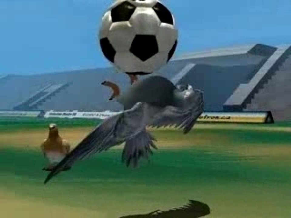 Pigeons