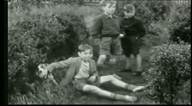 Wakefield Express 1952