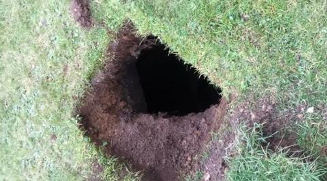 Hole in lawn
