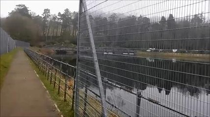 Possible human remains found