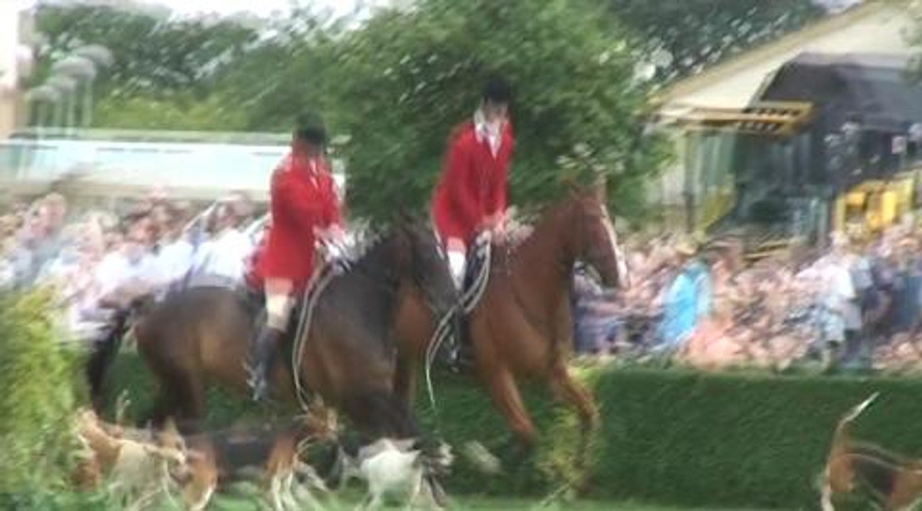 Great Yorkshire Show: Hounds