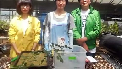 영월출장안마 -후불100%ョØ7ØS7301S9649｛카톡CS69｝ 영월전지역출장안마 영월오피걸 영월출장마사지 영월안마 영월출장마사지 영월콜걸샵ゼソゾ