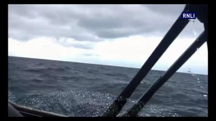 Whales spotted by RNLI