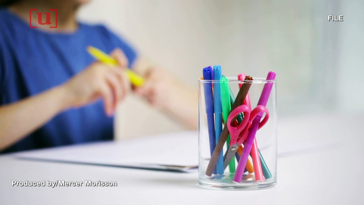 Little Girl’s Drawing Helps Police Find Suspected Vehicle Wanted in Package Theft