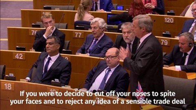 Nigel Farage in EU parliament