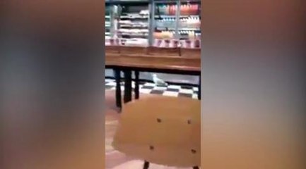 Seagull in Greggs