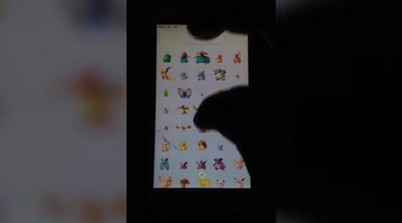 Pokemon catch all