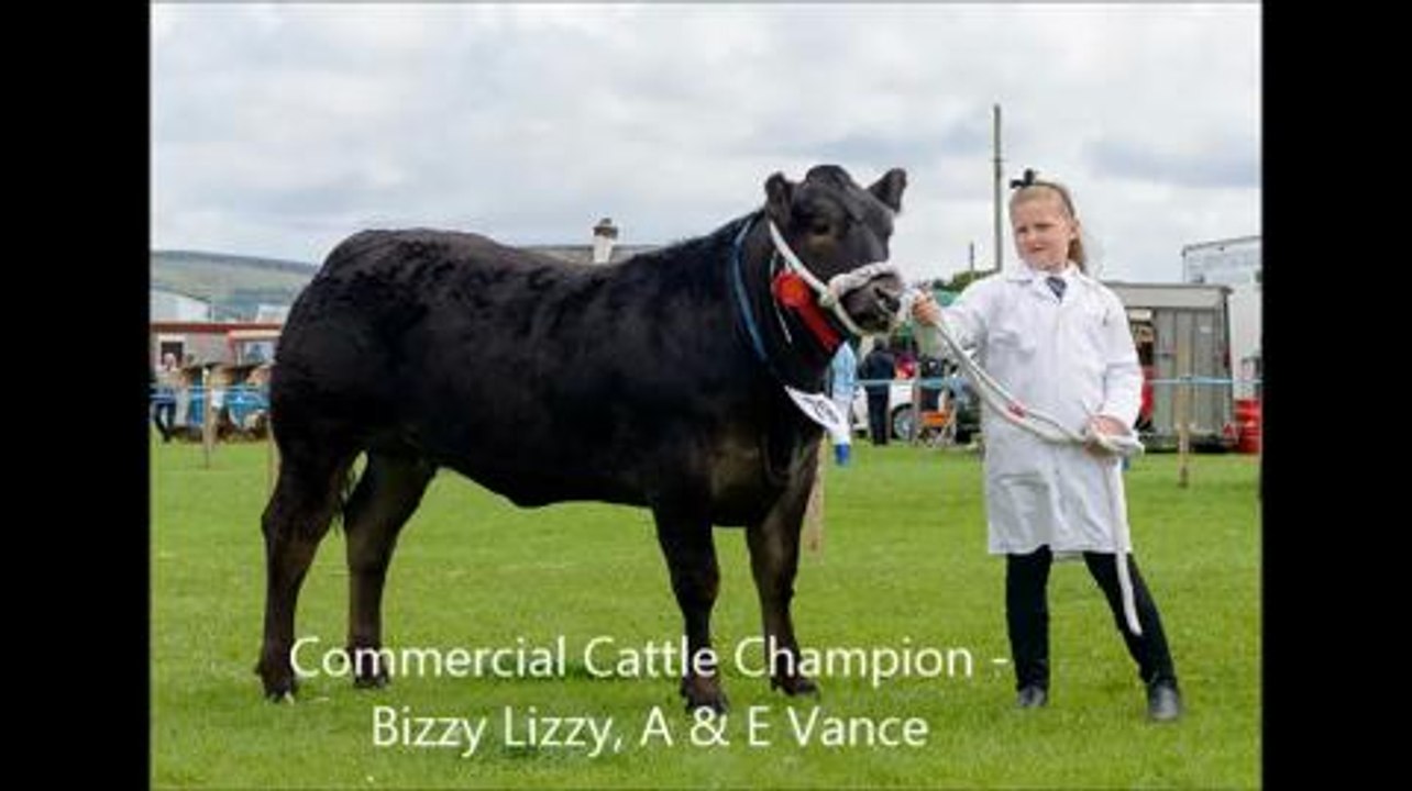 Stranraer Show 2016