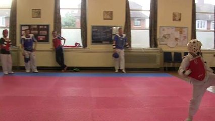 Olympic fever martial arts taster
