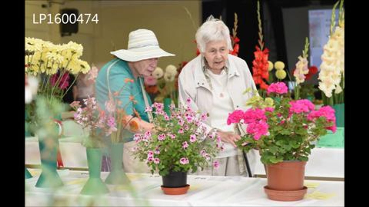 Shoreham summer show