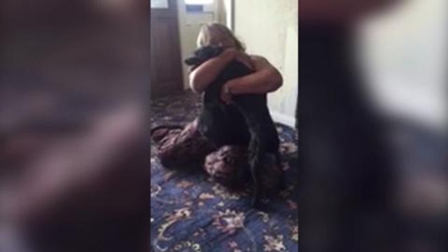 Dog reunited with family