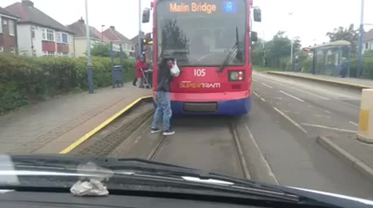 Man filmed tram surfing in Sheffield
