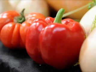 South of England Autumn Show