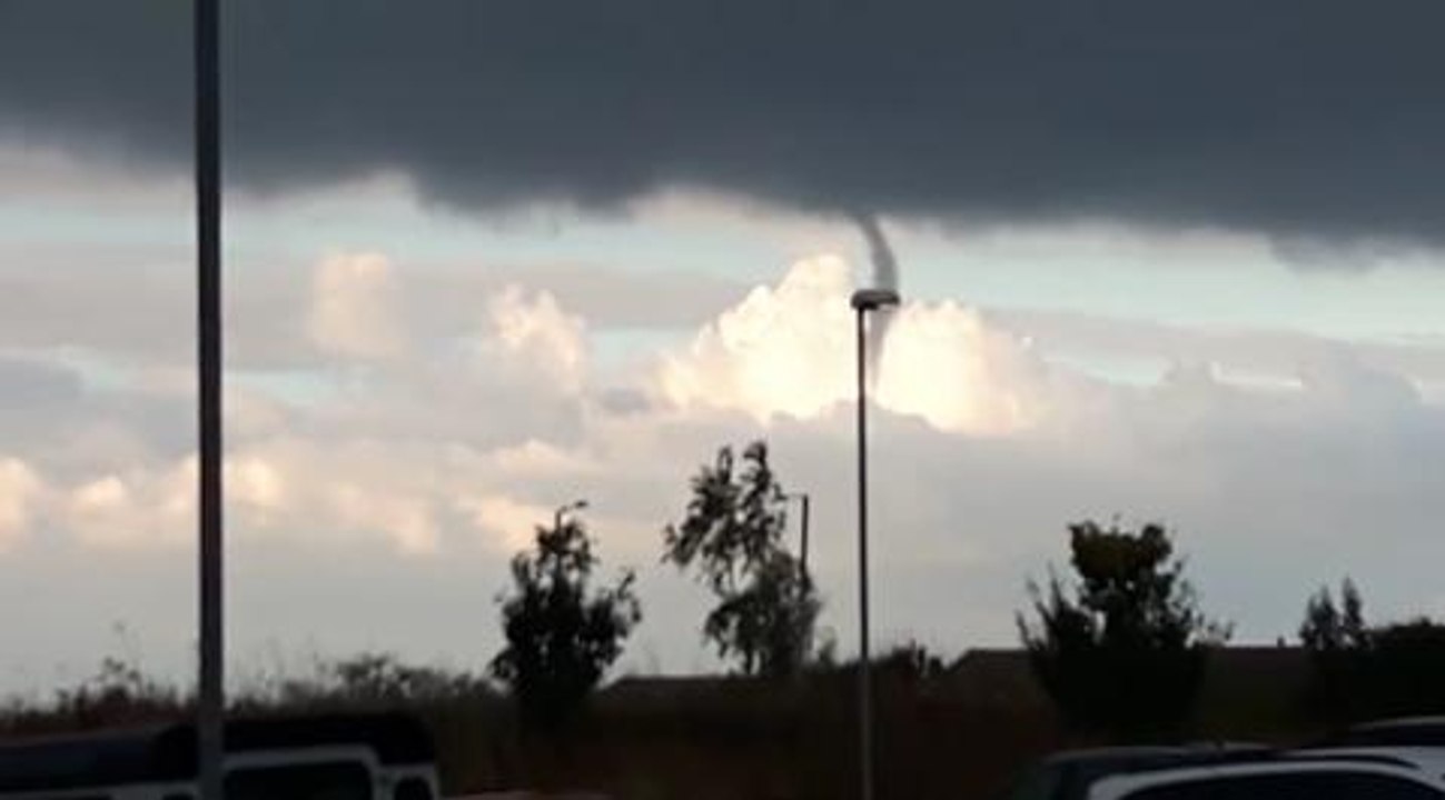 British twister