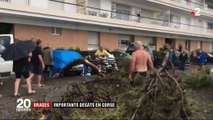 Trombe marine, tornade, arbres déracinés : une violente tempête balaye la baie de Bastia