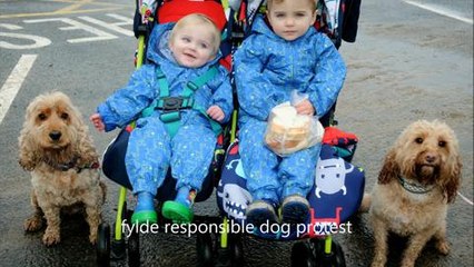 Dog walkers protest