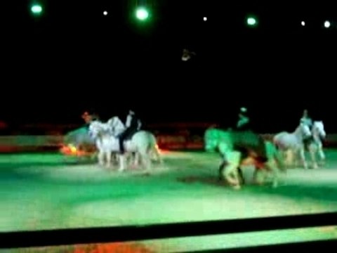 camargues salon du cheval