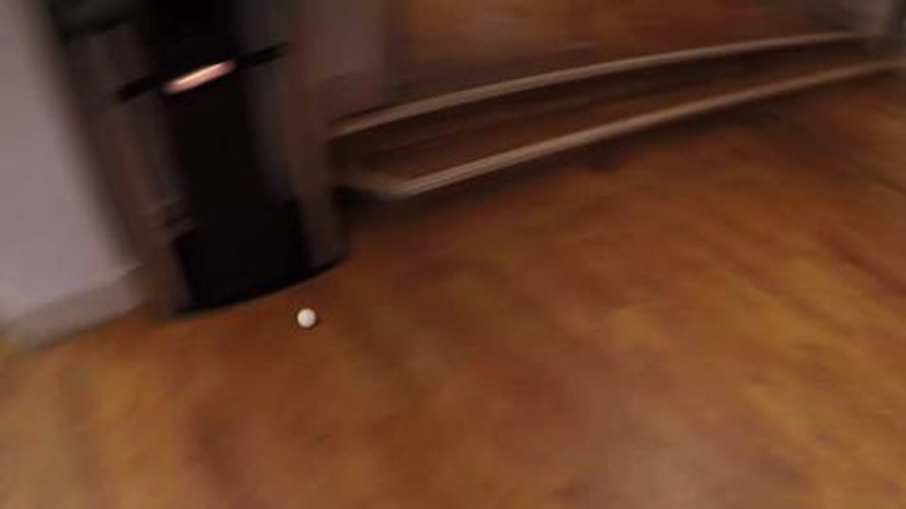 Trick shot