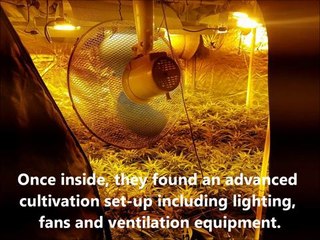 Inside Heckmondwike cannabis farm