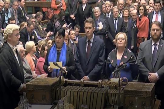 MP mutters 'suicide!' as it is announced vote is in favour of PM invoking Article 50.