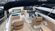 2019 Sea Ray SPX 210 Outboard Boat For Sale at MarineMax Ship Bottom, NJ
