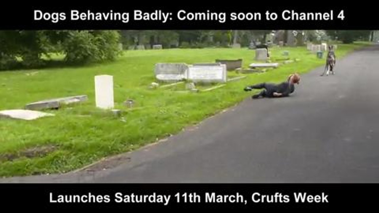 Dogs Behaving Badly