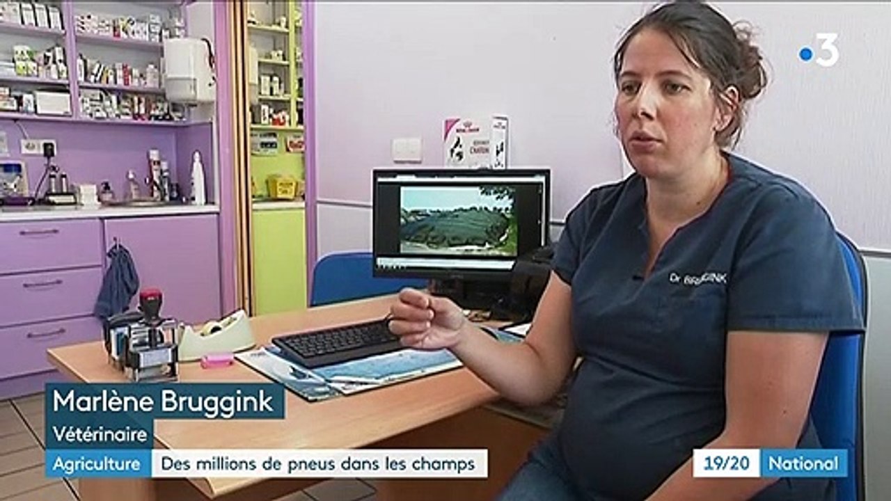 Agriculture : dans les champs, les pneus sont mauvais pour les vaches