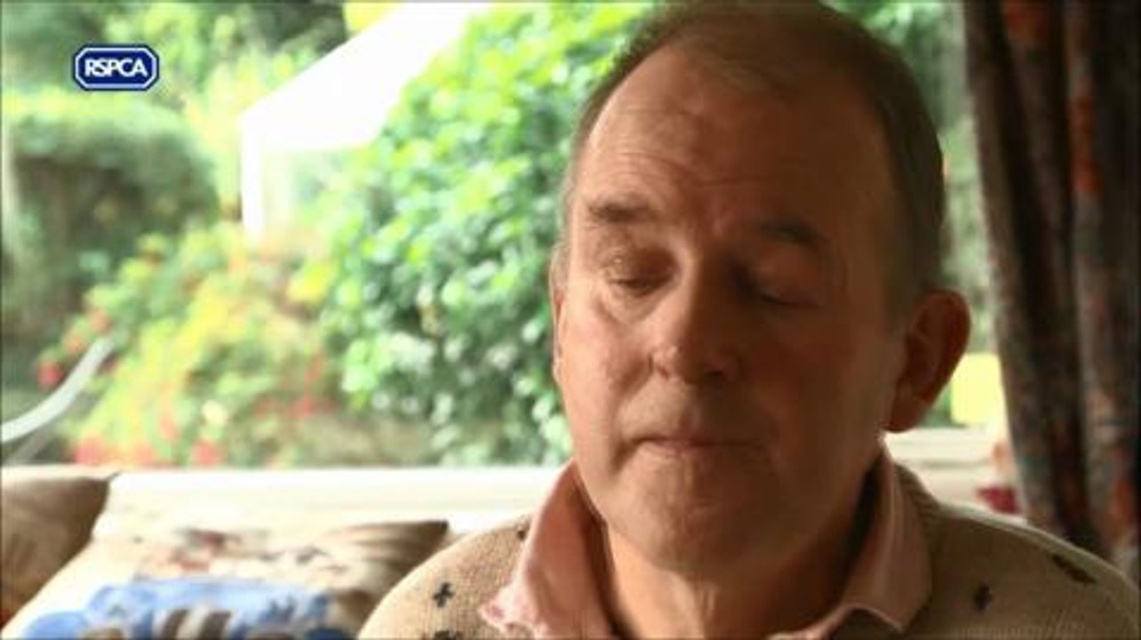 Man's pain after dogs cooked to death