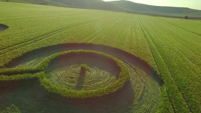 Fidget spinner crop circle