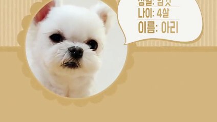 김천출장안마 -후불100%ョØ7ØA7575A0069｛카톡RD654｝ 김천전지역출장안마 김천오피걸 김천출장마사지 김천안마 김천출장마사지 김천콜걸샵ぜそた