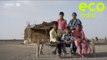 Eco India: How the use of solar pumps is brightening the lives of Kutch's salt farmers