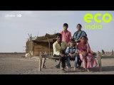 Eco India: How the use of solar pumps is brightening the lives of Kutch's salt farmers