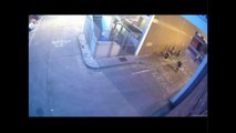 CCTV footage of town hall vandalism