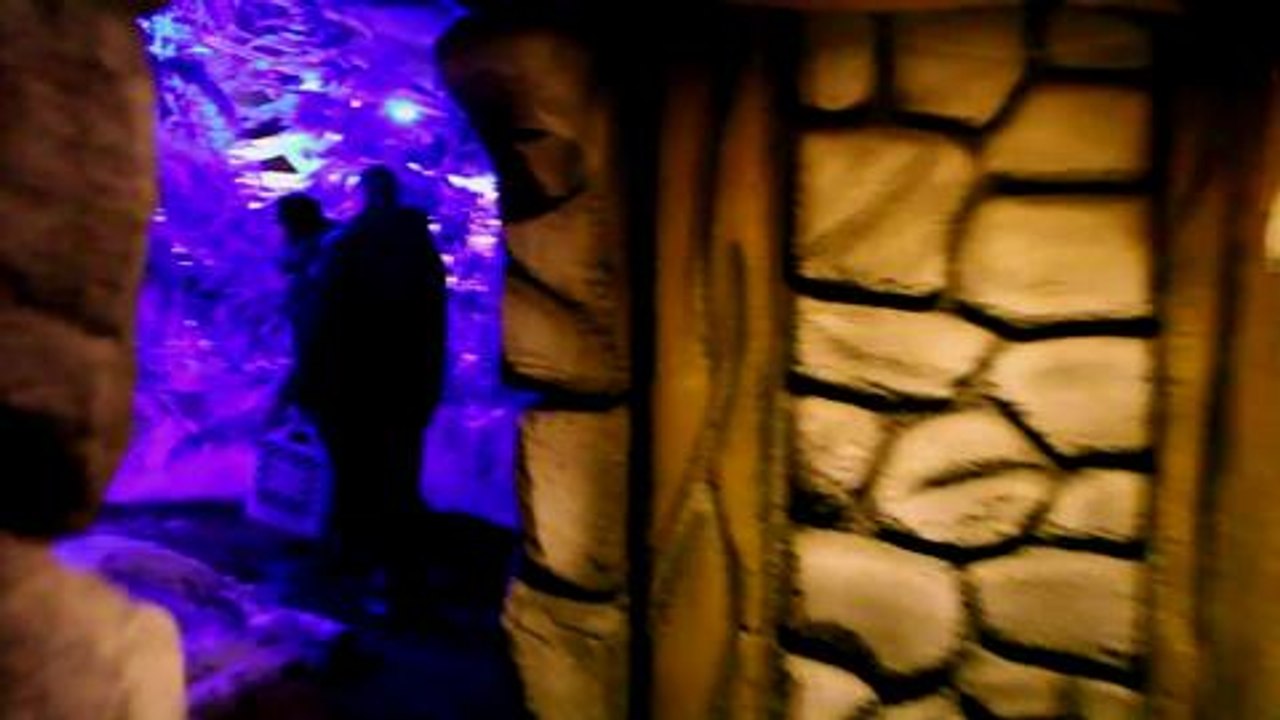 Enchanted Narnia