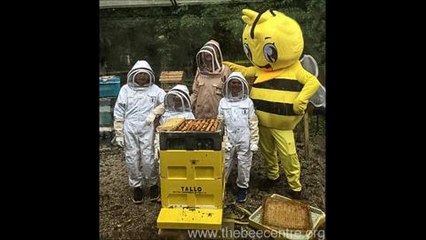 Save the bees