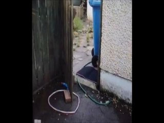 Bomb attacks