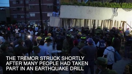 Mexico earthquake: Many die in school collapse