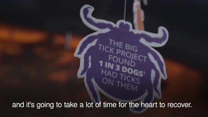 Matt Dawson on Lyme disease