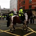 Lancashire police horses at Stop Brexit protest