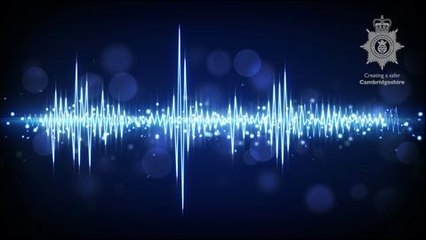 Inappropriate 999 call