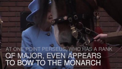 The Queen names the most senior animal in the army INNL