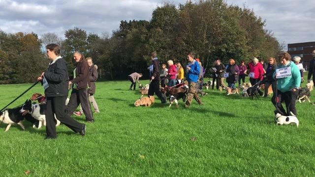 Dog walkers protesting South Ribble Council's dog walking limit.