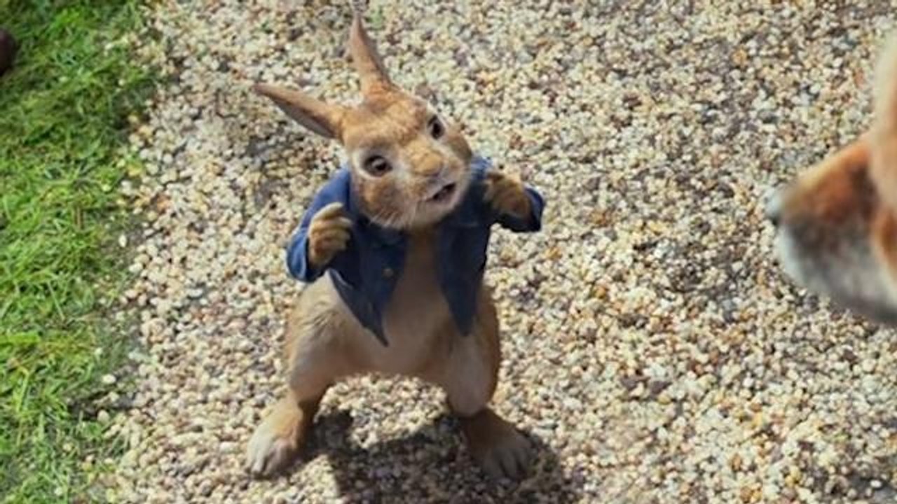PETER RABBIT - Official Trailer (HD)