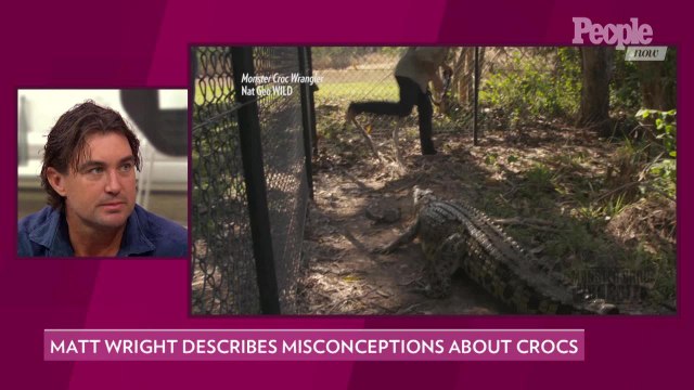 Crocodile Wrangler Matt Wright's Top Tips to Avoid 'Unforgiving' Croc Attacks